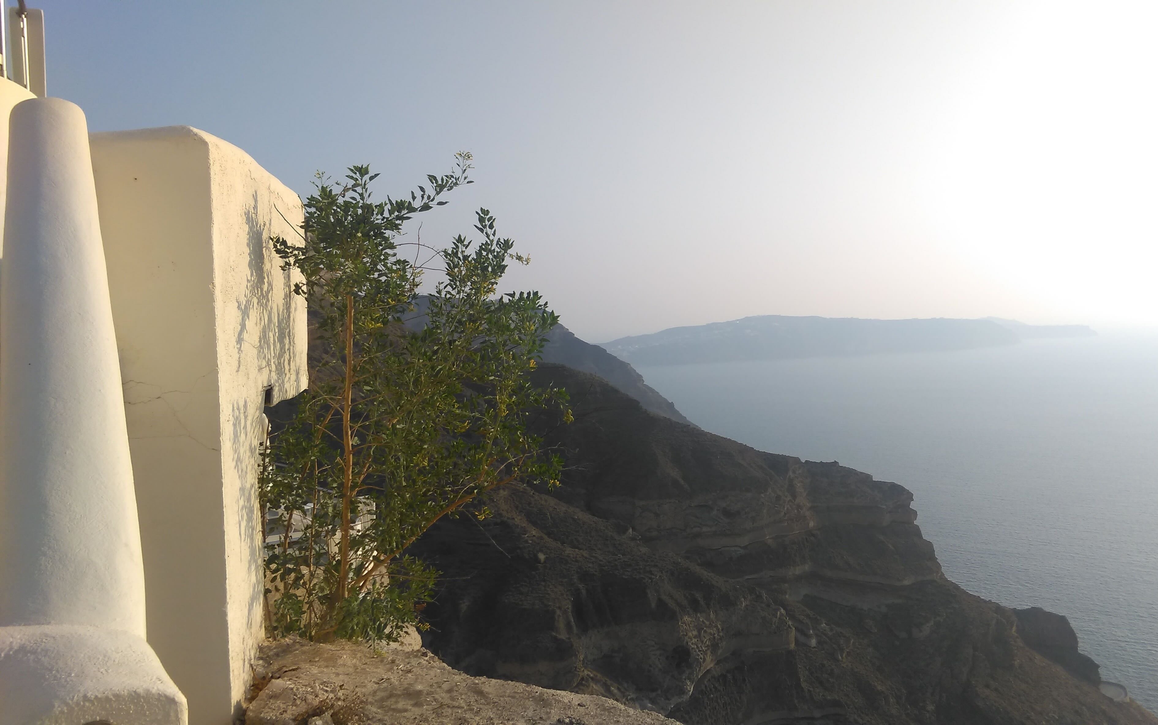 A scenic view of a steep dark rocky cliff overlooking a calm sea under a bright hazy sky, with a white building wall and small green tree in the foreground.