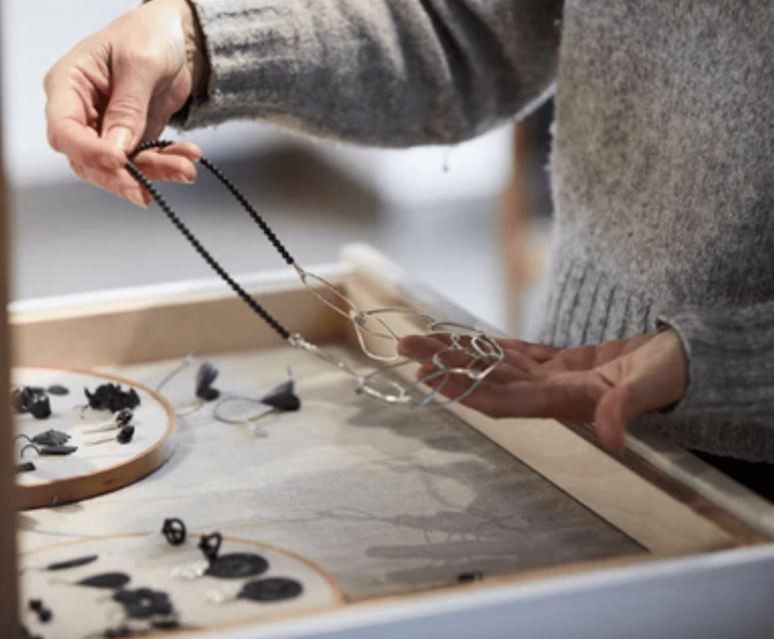SELECTION PROCESS - Anemis